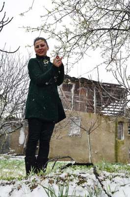 Erken baharla çiçek açan ağaçlar ve kırlar beyaza büründü