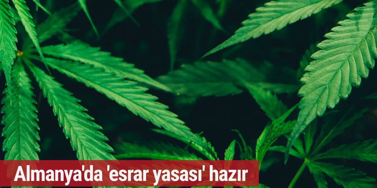 Almanya'da esrar yasallaşıyor mu?