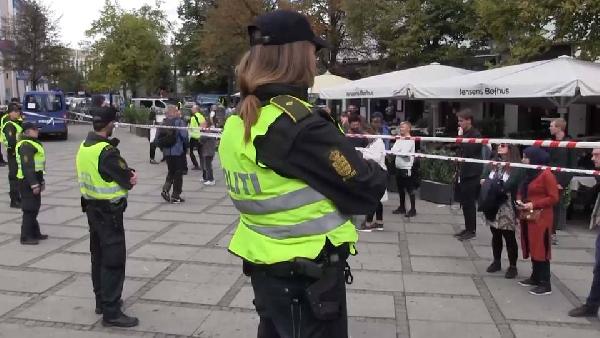 Danimarka Almanya sınırlarında kontrollere başlıyor