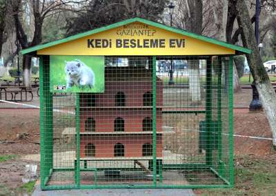 Gaziantep’te sokak kedilerine barınak