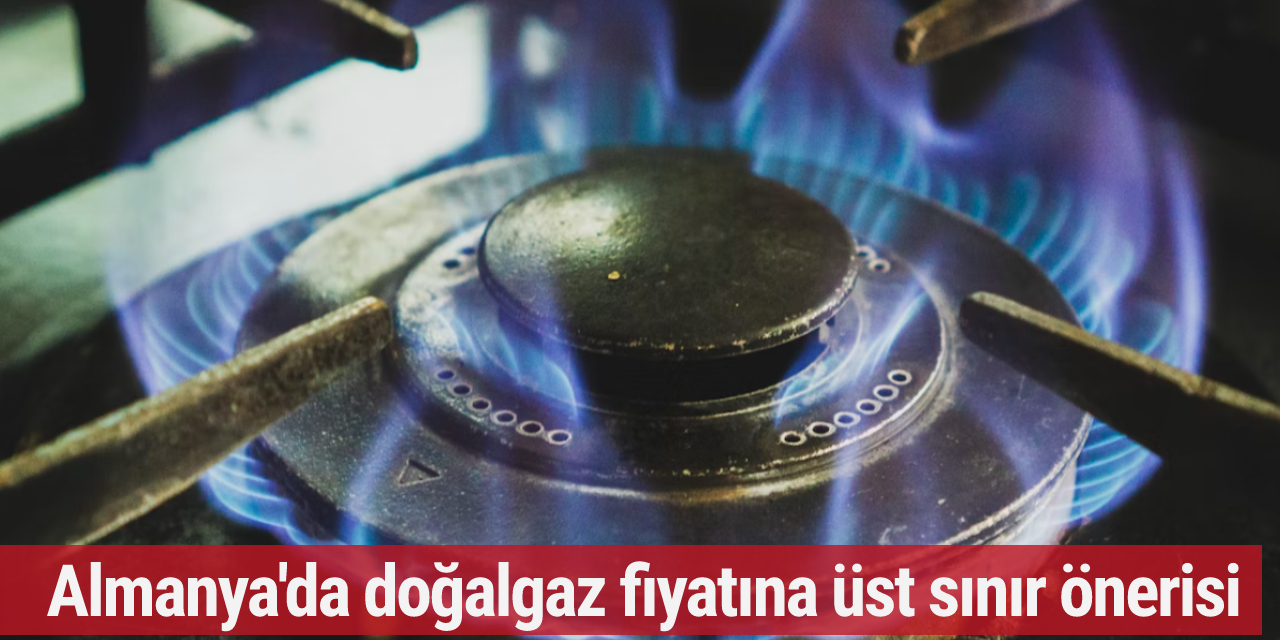 Almanya'da doğalgaz fiyatına üst sınır önerisi!