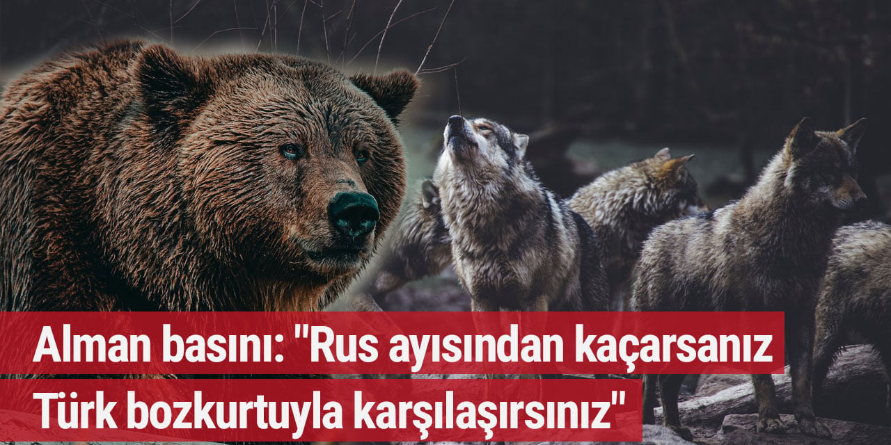 Alman basını: "Rus ayısından kaçarsanız Türk bozkurtuyla karşılaşırsınız"
