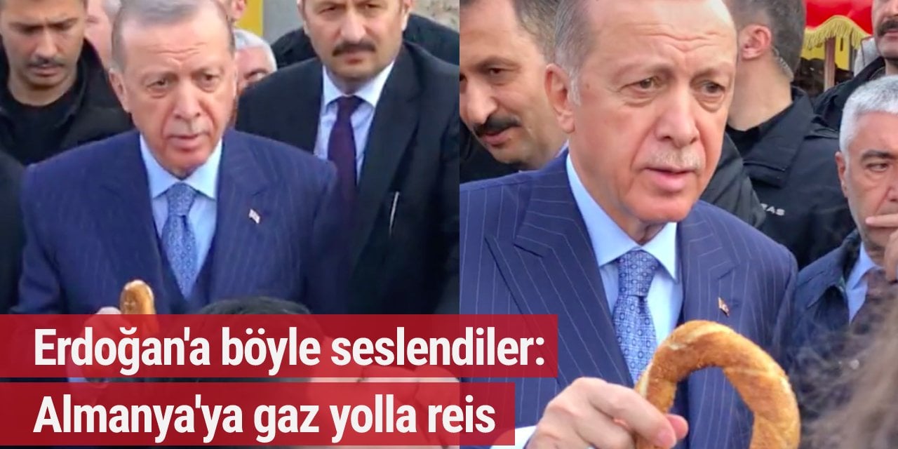 Erdoğan'a böyle bağırdı: Reis Almanya'ya gaz yolla