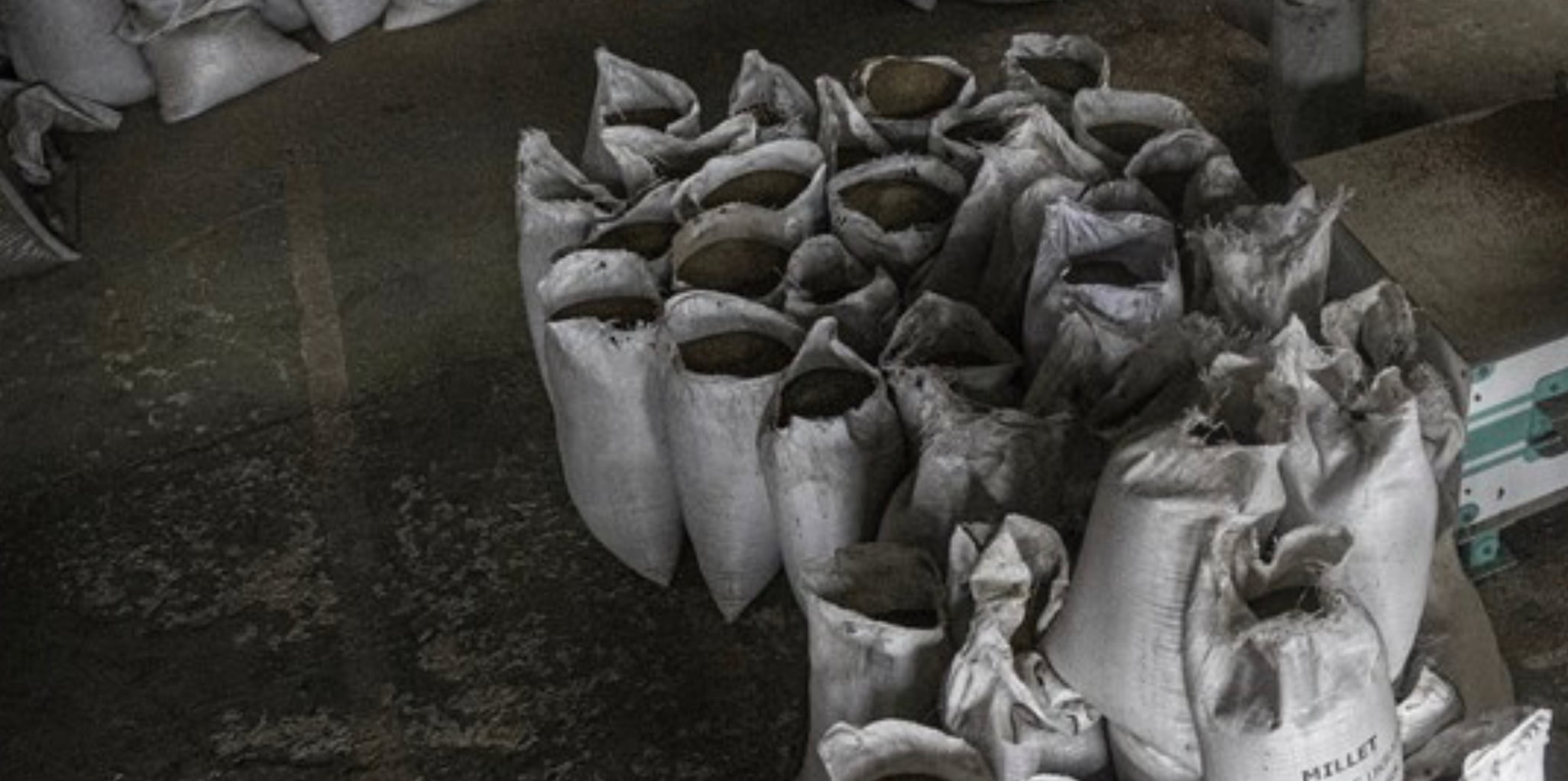 Fransa, Karadeniz Tahıl Koridoru Girişimi'nın uzatılmasını olumlu buluyor