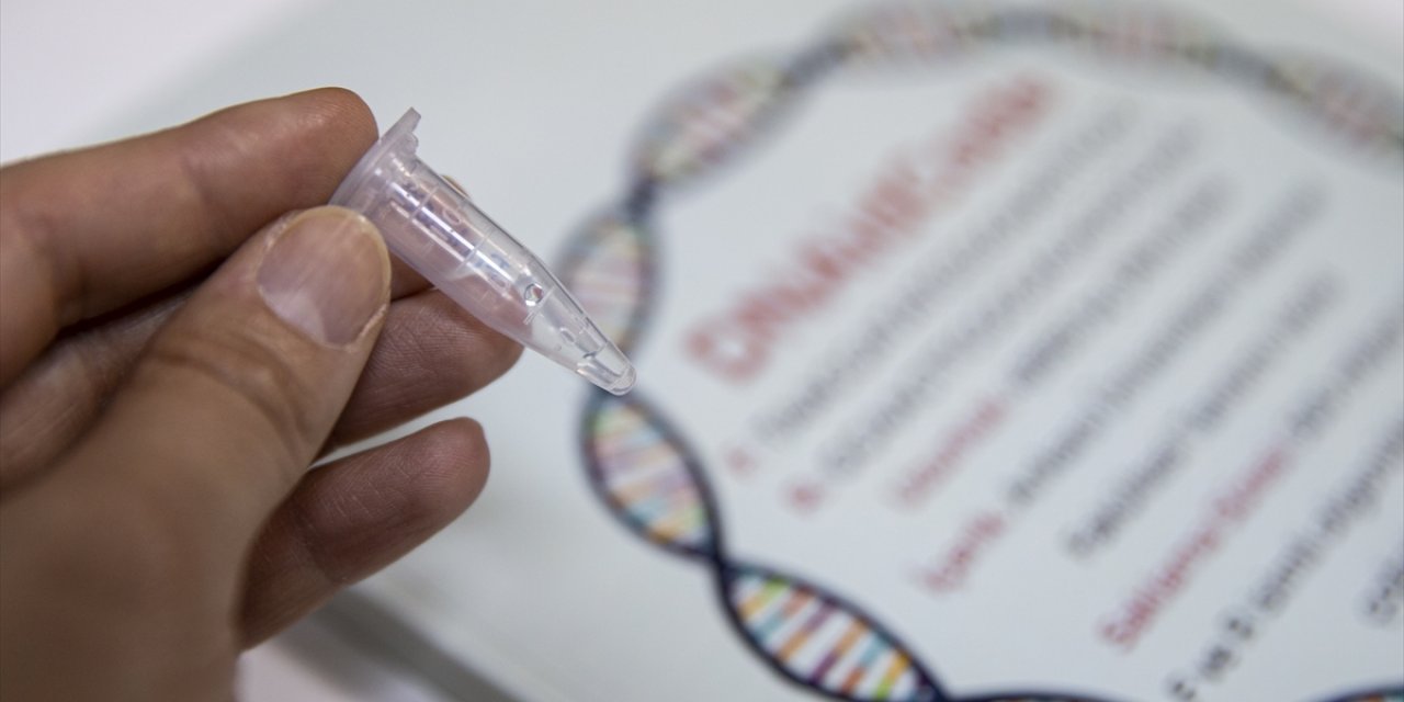 Bilgileri DNA'da depoladılar: 500 milyon yıl sonra da erişilebilecek