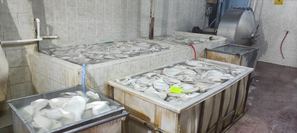 Sosyal medyayı yıkan kurtlanan işkembe görüntülerinin arkasındaki gerçek ortaya çıktı