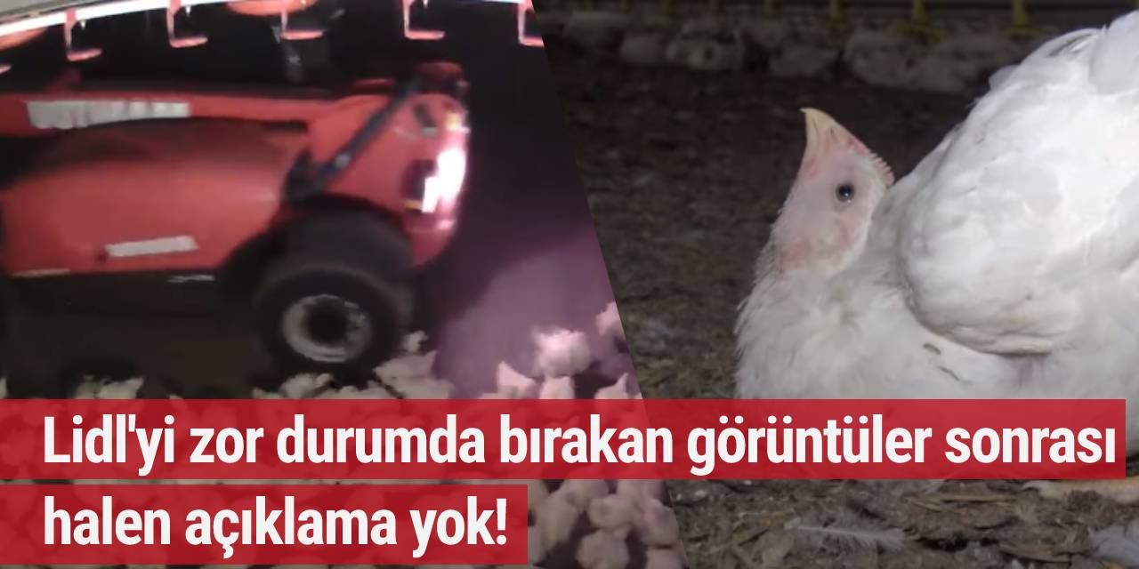 Lidl'yi zor durumda bırakan görüntüler sonrası halen açıklama yok!