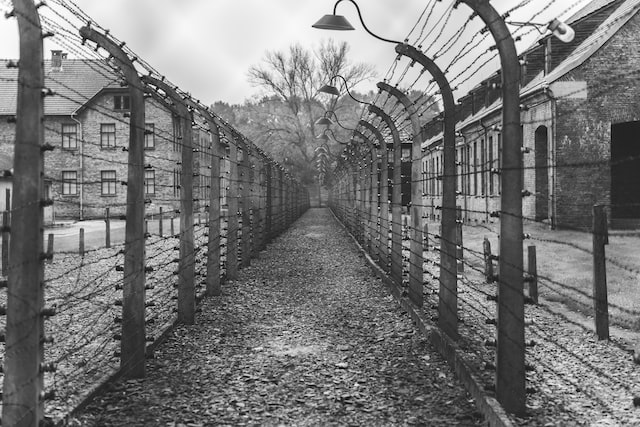 97 yaşındaki Nazi kampı sekreterine 2 yıl hapis cezası