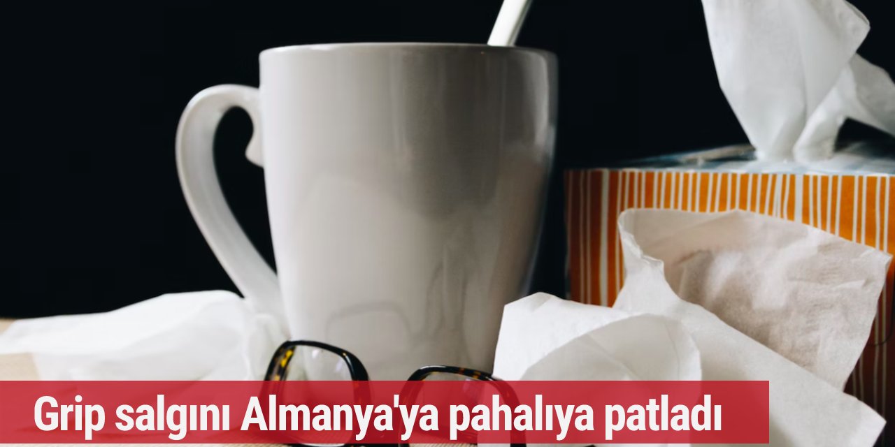 Grip salgını Almanya'ya pahalıya patladı