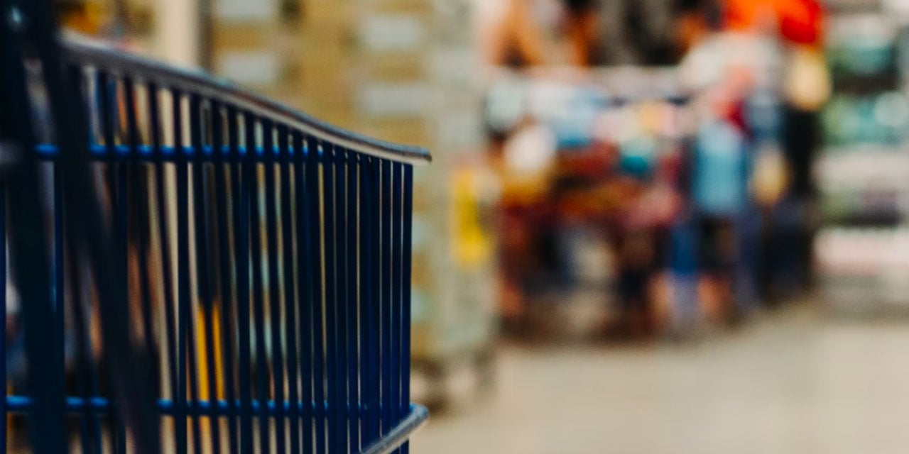 Almanya'da o balık salmonella riski sebebiyle geri çağırılıyor