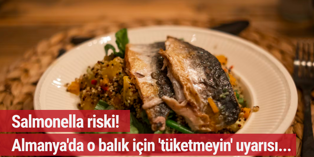 Salmonella riski! Almanya'da o balık için 'tüketmeyin' uyarısı...