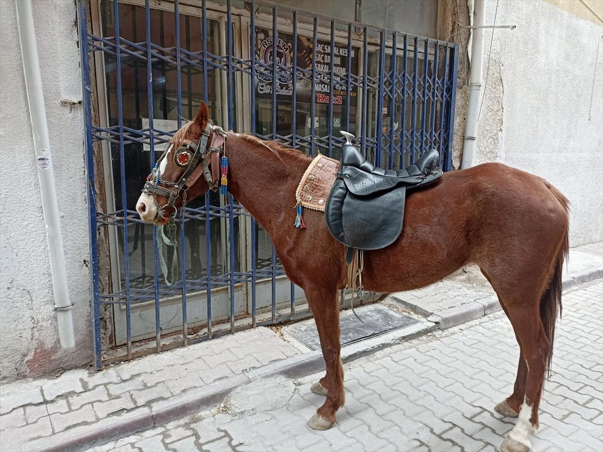 Alkollü adam atıyla birlikte sokakları birbirine kattı