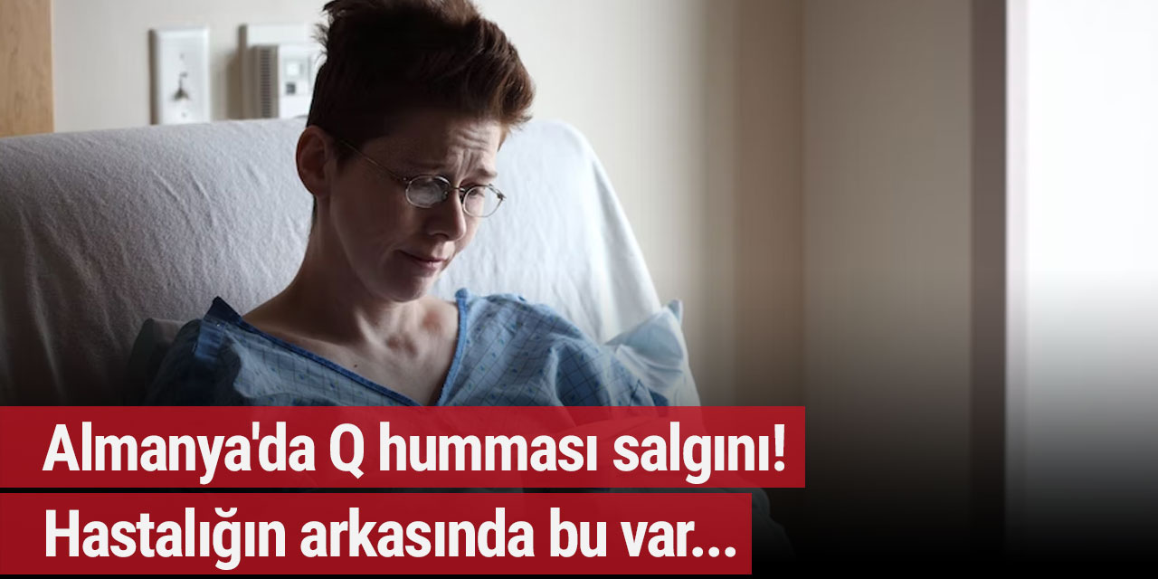 Almanya'da Q humması salgını! Hastalığın arkasında bu var...