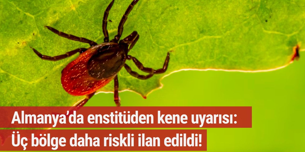 Almanya’da enstitüden kene uyarısı: Üç bölge daha riskli ilan edildi!