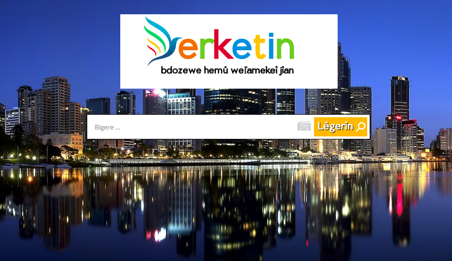Erste kurdischsprachige Suchmaschine „Serketin“ geht in Diyarbakır online