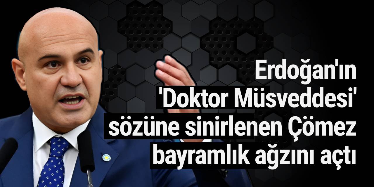 Erdoğan'ın 'Doktor Müsveddesi' sözüne sinirlenen Çömez bayramlık ağzını açtı