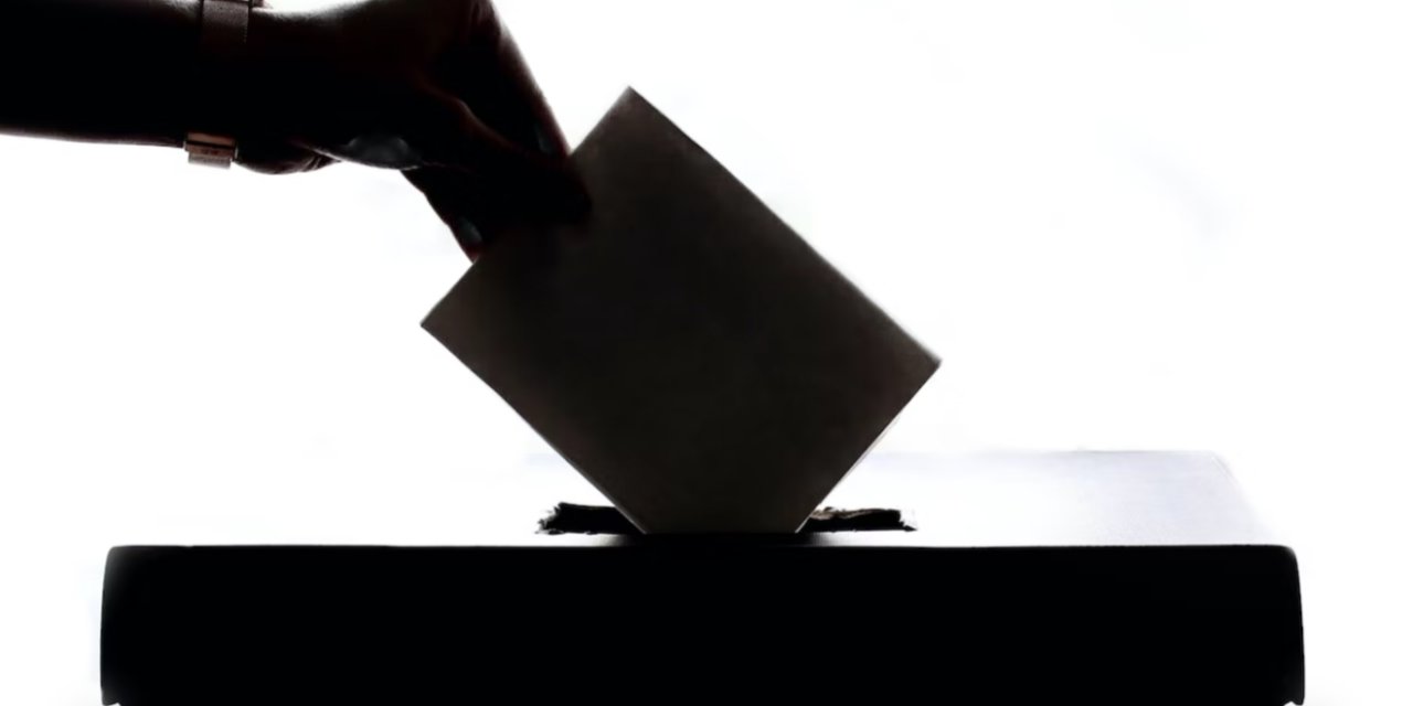 Finlandiya'da halk yarın sandık başına gidiyor