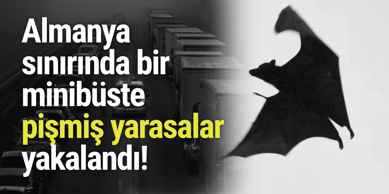 Almanya sınırında bir minibüste 'pişmiş yarasalar' yakalandı!