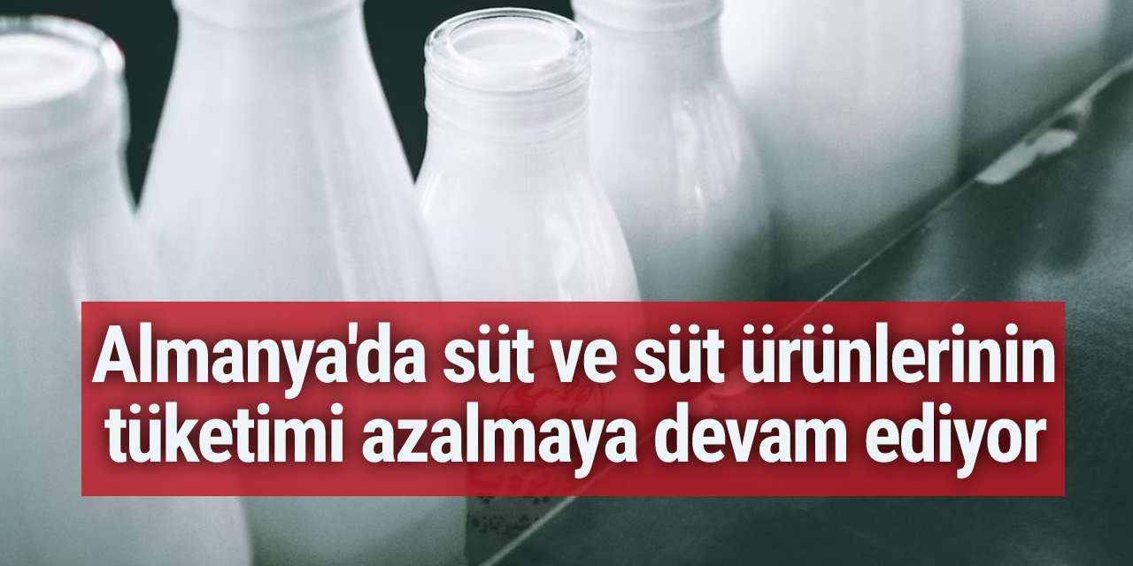 Almanya'da süt ve süt ürünlerinin tüketimi azalmaya devam ediyor