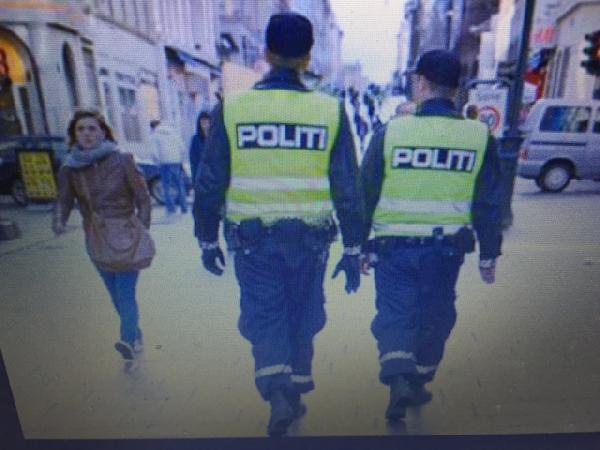 Norveç polisi silah bıraktı