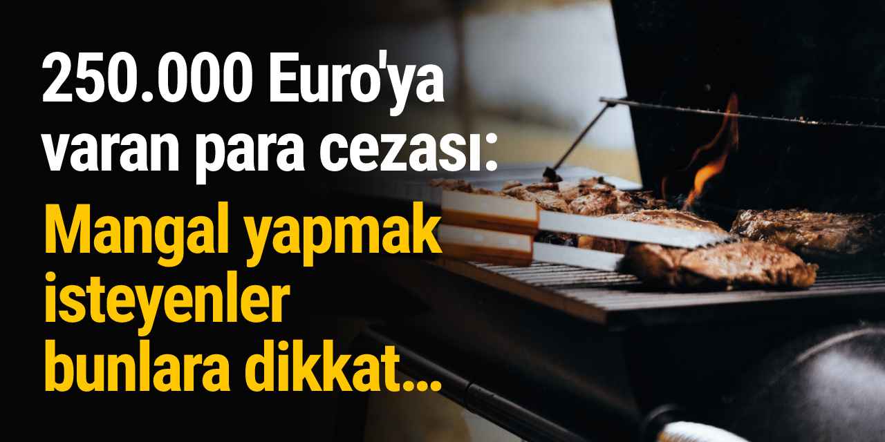 Mangal yapmak isteyenler kurallara uymazsa 250 bin Euro'ya varan para cezasısı ile karşı karşıya kalabilir...