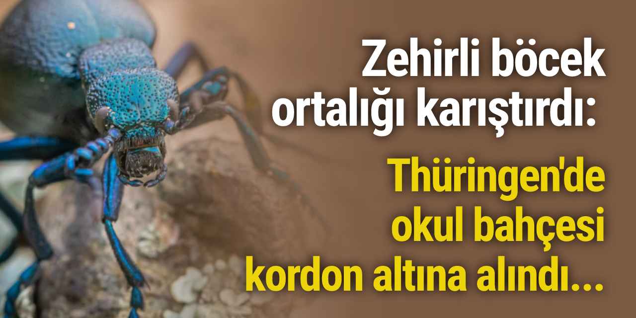 Zehirli böcek ortalığı karıştırdı: Thüringen'de okul bahçesi kordon altına alındı...