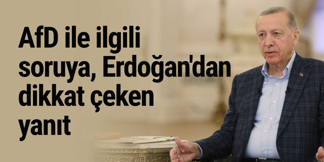 AfD ile ilgili soruya, Erdoğan'dan dikkat çeken yanıt