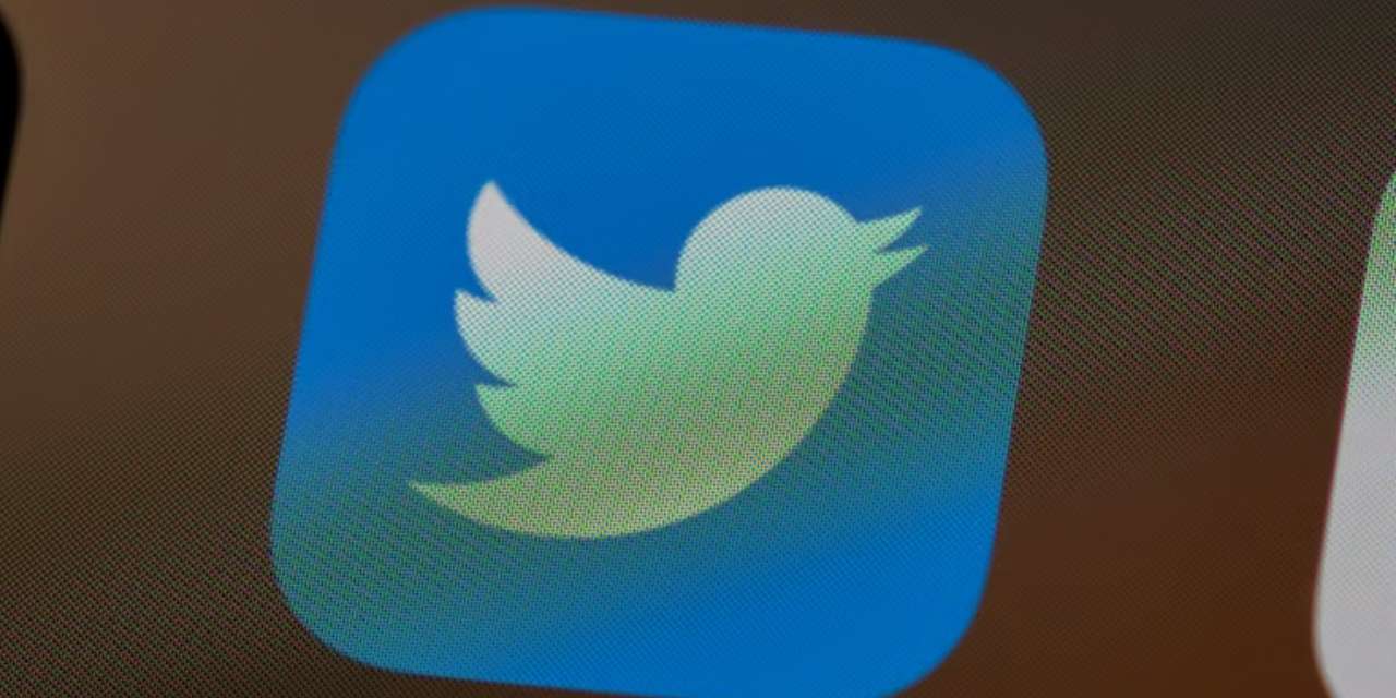 Elon Musk, Twitter'ı yönetmeyi bırakıyor