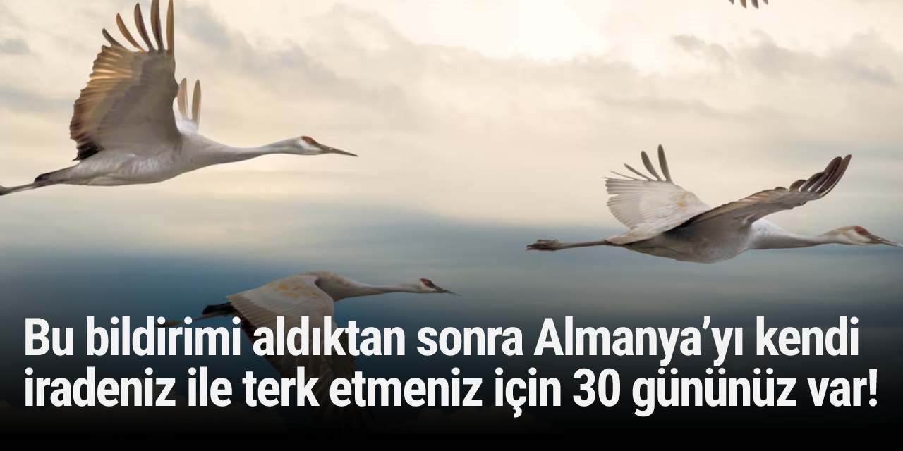 Bu bildirimi aldıktan sonra Almanya’yı kendi iradeniz ile terk etmeniz için 30 gününüz var!