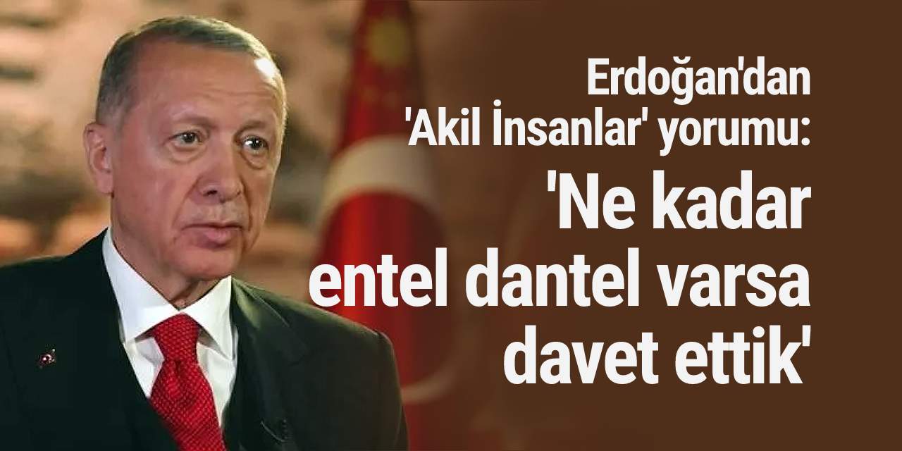 Erdoğan'dan 'Akil İnsanlar' yorumu: 'Ne kadar entel dantel varsa davet ettik'