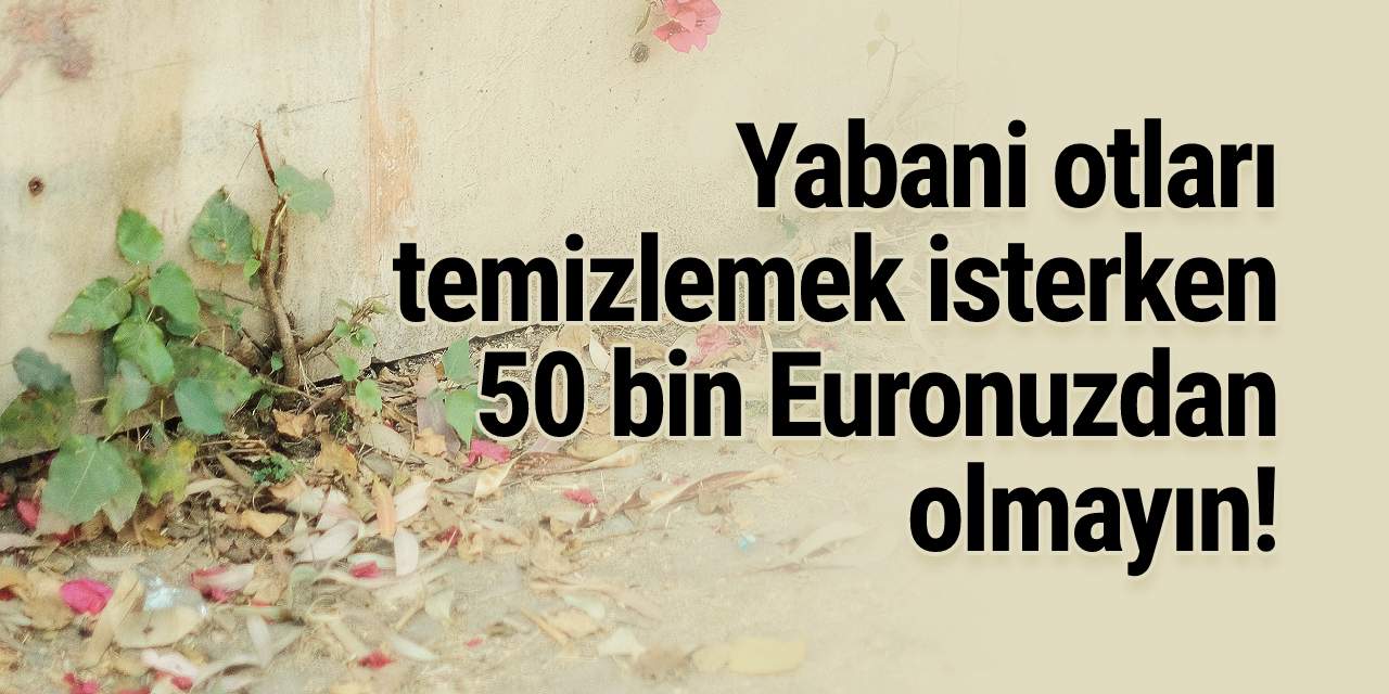 Yabani otları temizlemek isterken 50 bin Euronuzdan olmayın!