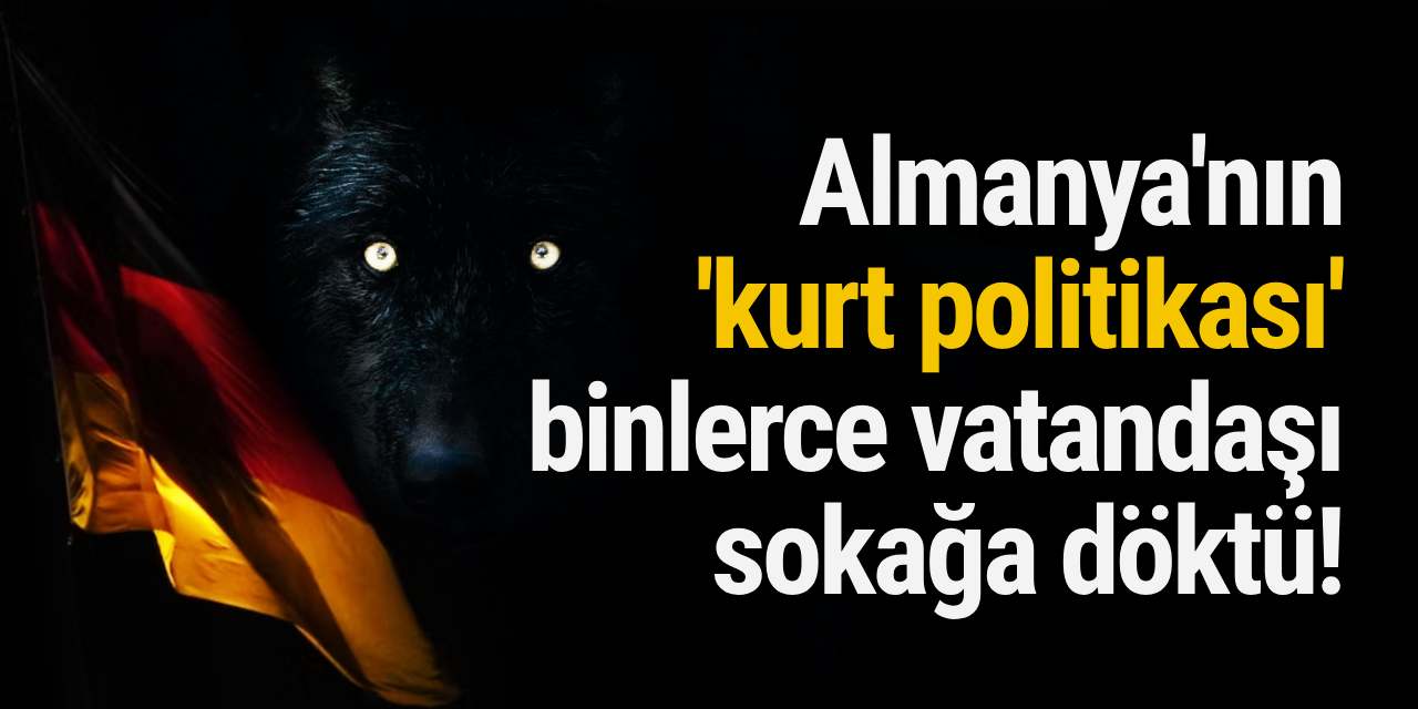 Almanya'nın 'kurt politikası' binlerce vatandaşı sokağa döktü