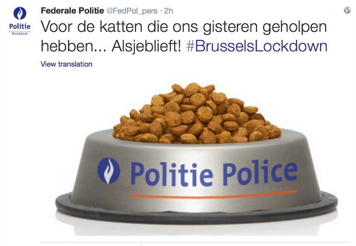 Belçika polisinden 'kedi mamalı' teşekkür