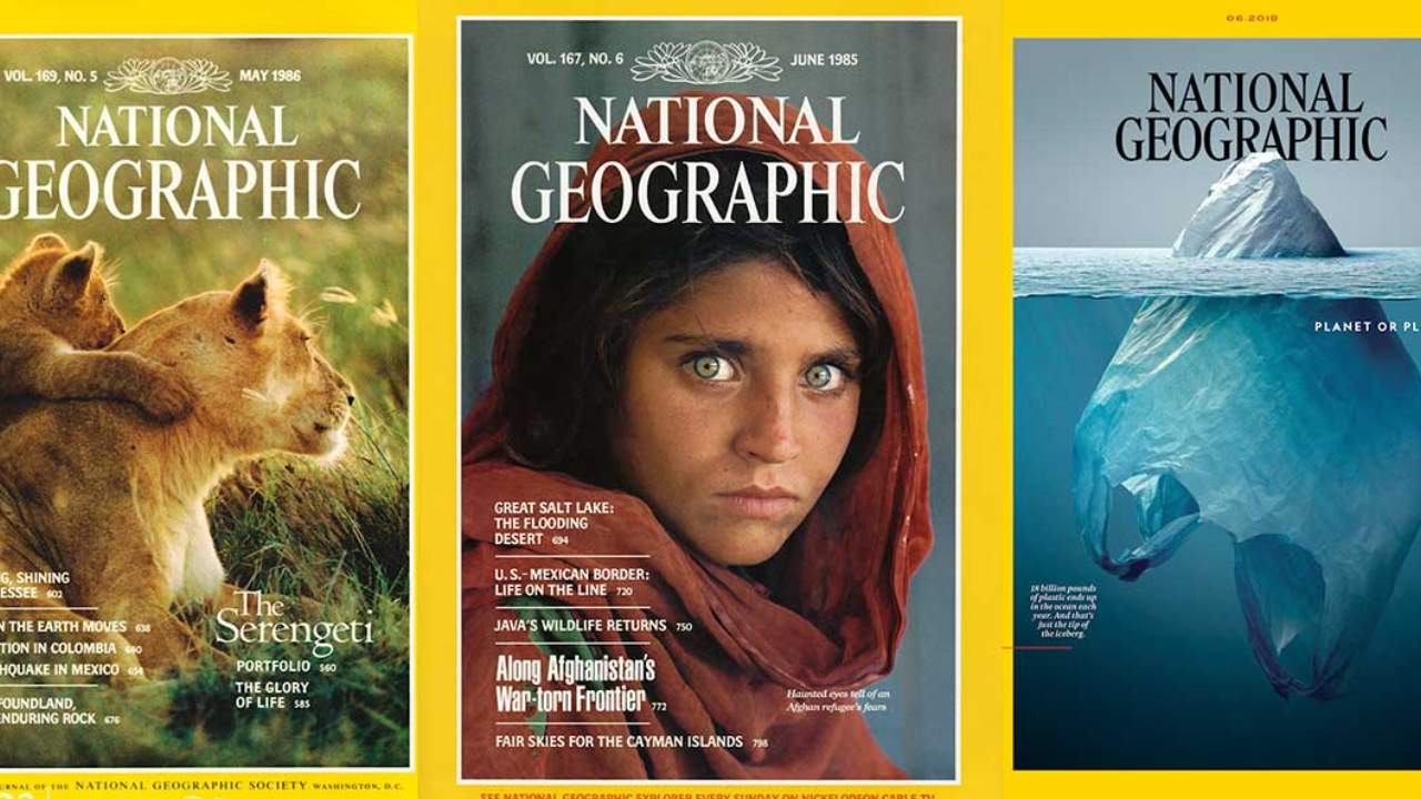 National Geographic veda ediyor
