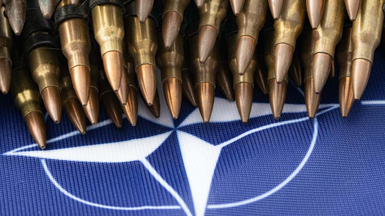 Ermenistan, Almanya'da NATO tatbikatına katılıyor
