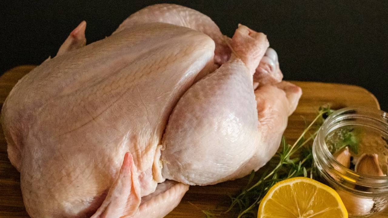 Paketli tavuklarda anlık zararlı bakteri tespiti yapan sensörlü kap üretildi