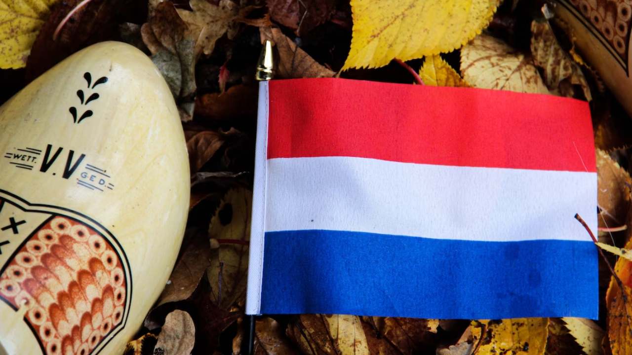 Hollanda'da istifa eden koalisyon hükümetindeki liderler görevi bırakıyor