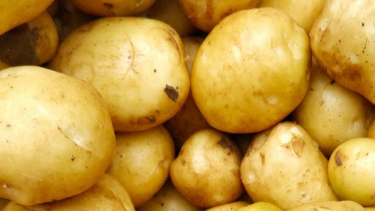 Almanya'da geri çağırma uyarısı: Patates salatası yabancı cisimler içeriyor...