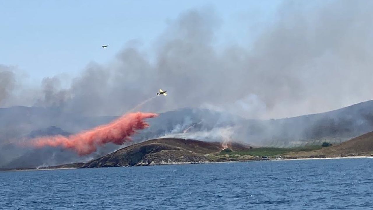 Avşa Adası'nda yangın