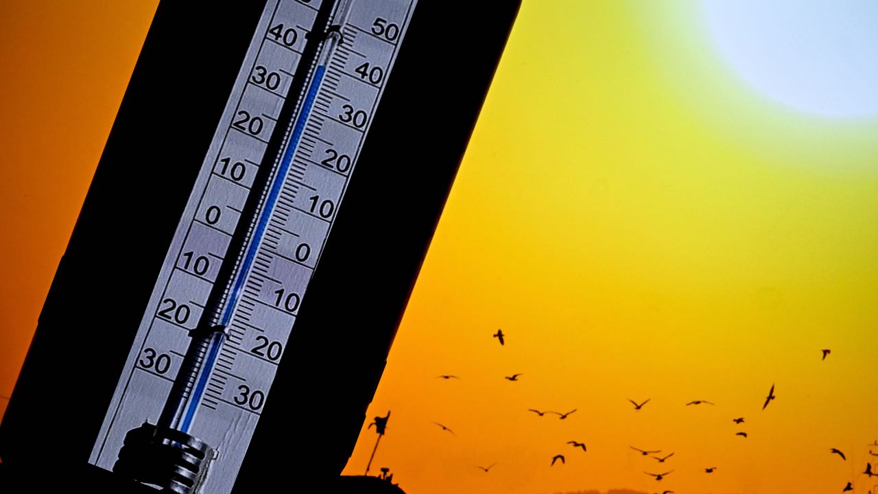 Almanya'da bu yılın en yüksek sıcaklığı kaydedildi!