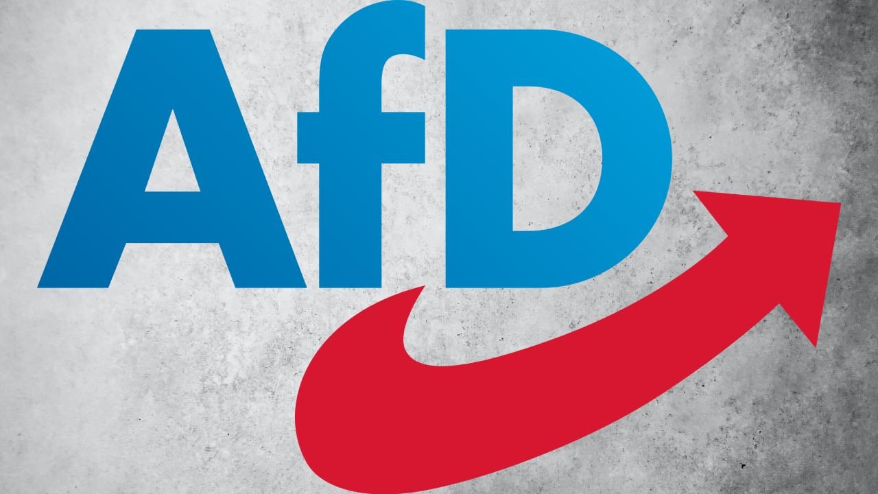 Almanlar, anketlerde yükselişe geçen AfD hakkında ne düşünüyor?
