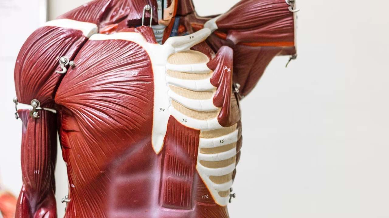 Dünyada 320 milyon kişi hepatit ve çoğu hasta bundan habersiz