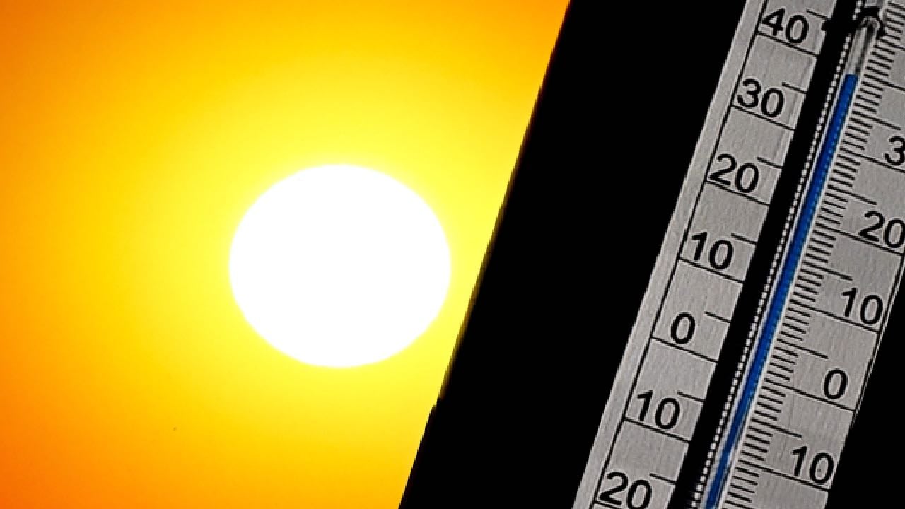 DSÖ'den iklim değişikliği için "acil ortak eylem" çağrısı