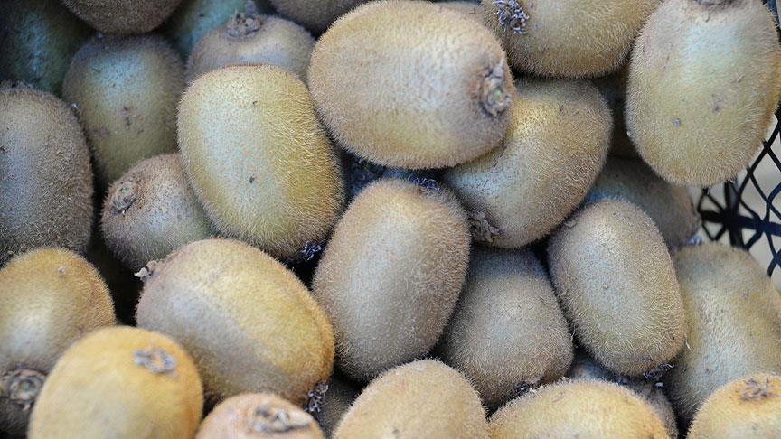 '1 adet kivi 1 kilogram portakala denk'