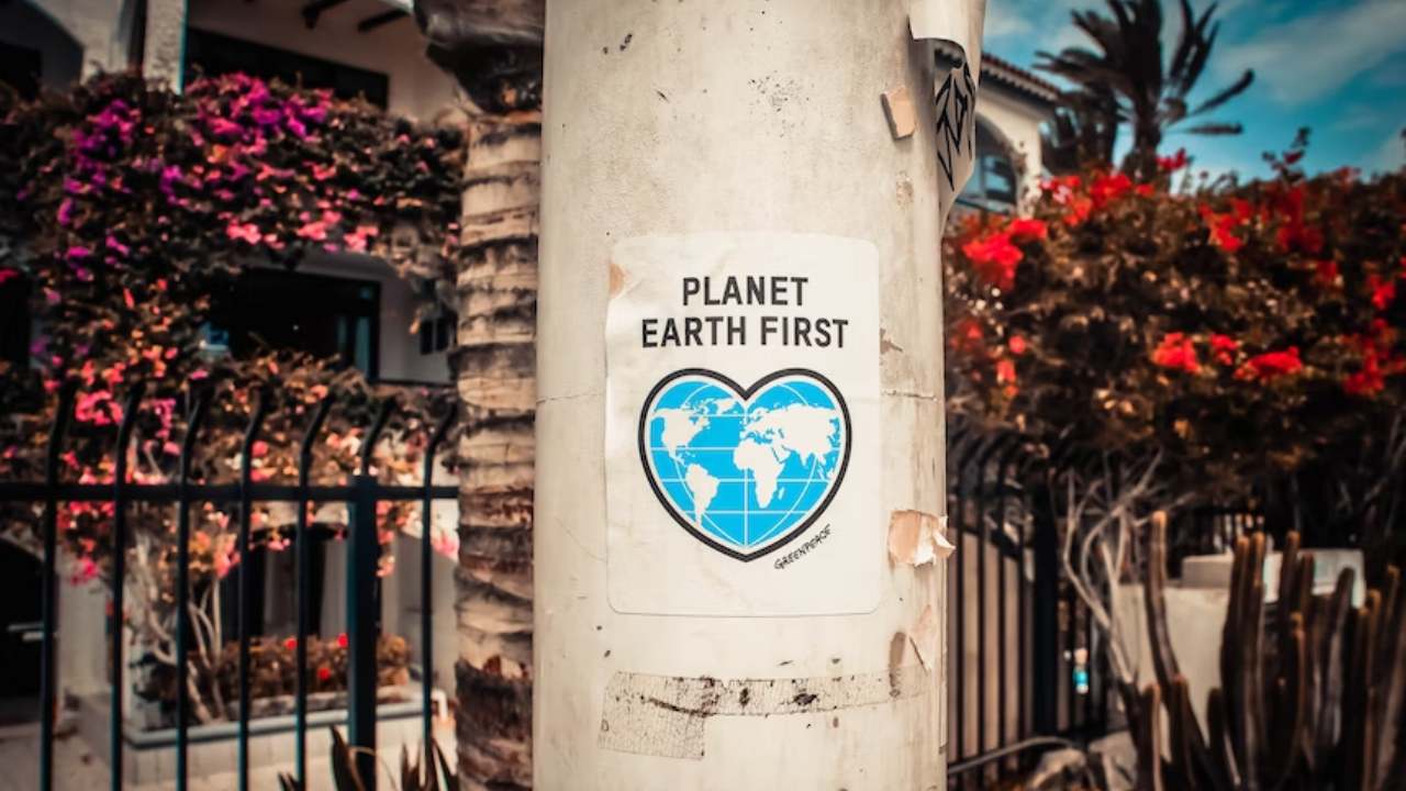 Greenpeace aktivistleri, İngiltere Başbakanı'nın evini siyah kumaşla kapladı