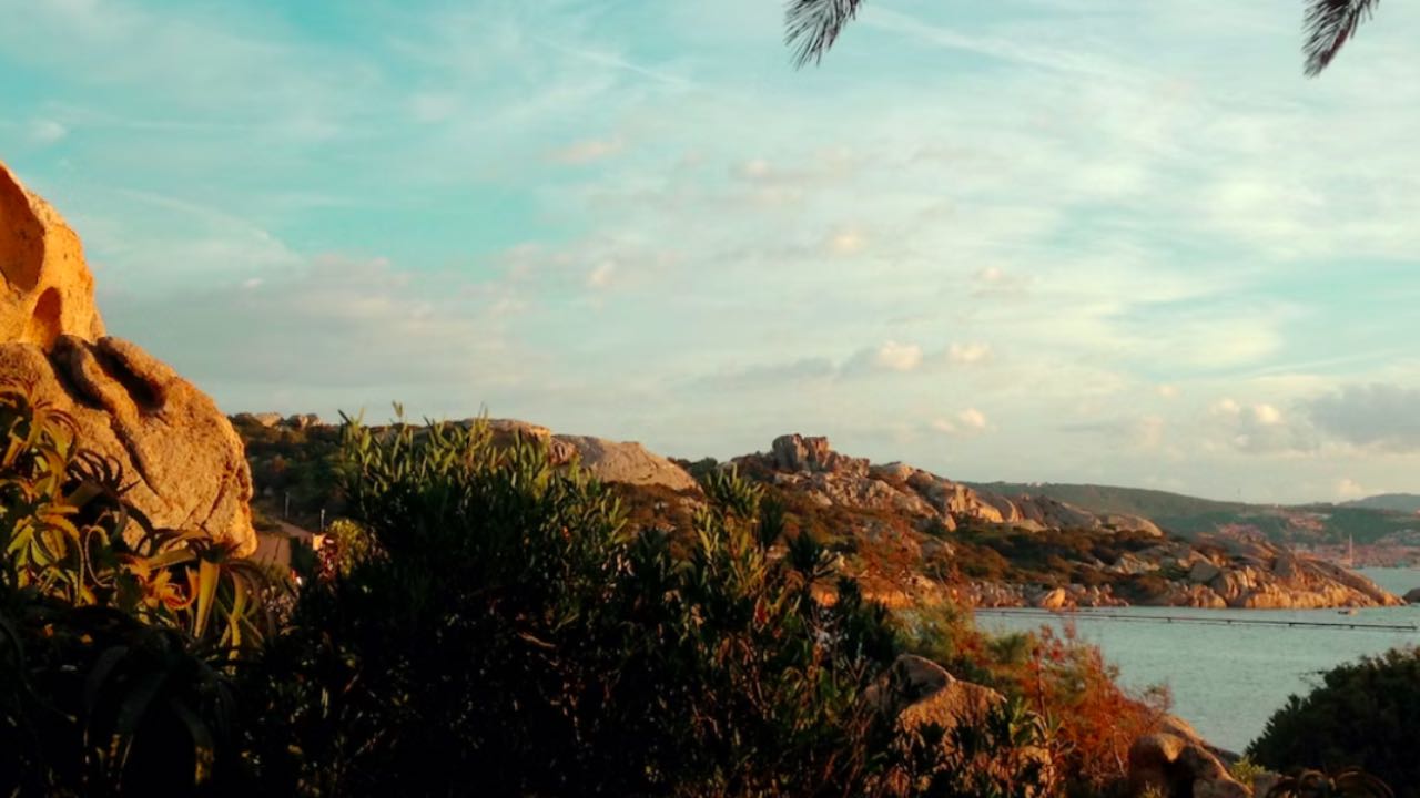 Sardinya Adası'nda yangın: 600 kişi tahliye ediliyor