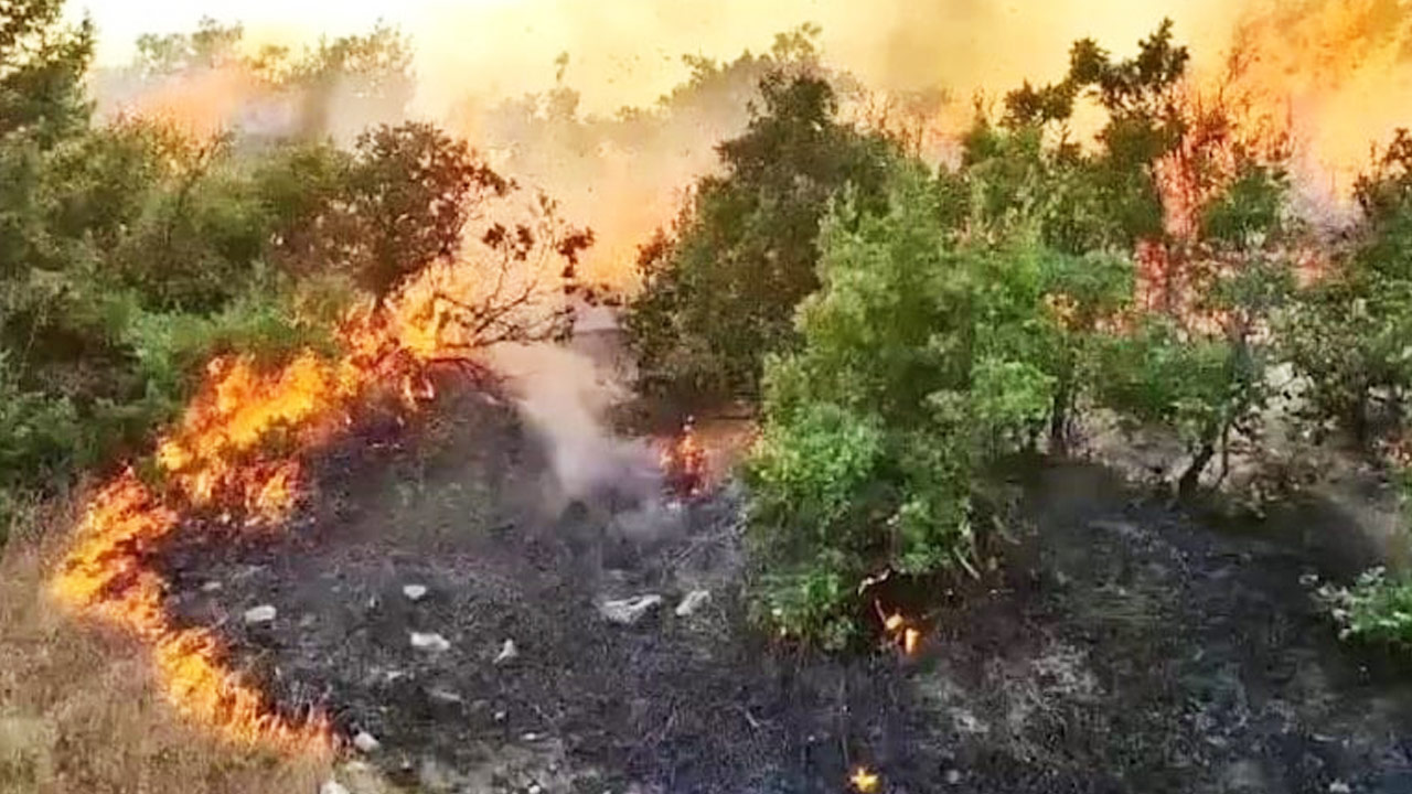 Türkiye’de iki gündür söndürülemeyen yangın: 6 bölgeye sıçradı