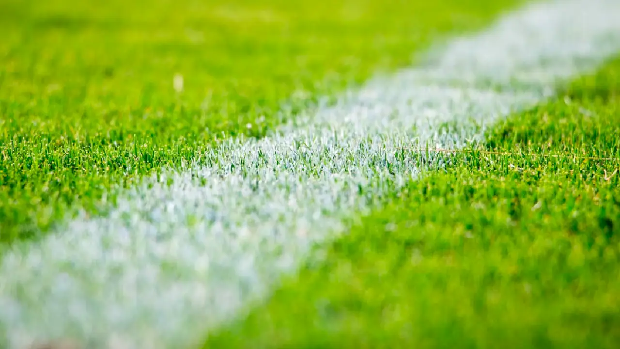Bundesliga'da 61. sezon heyecanı