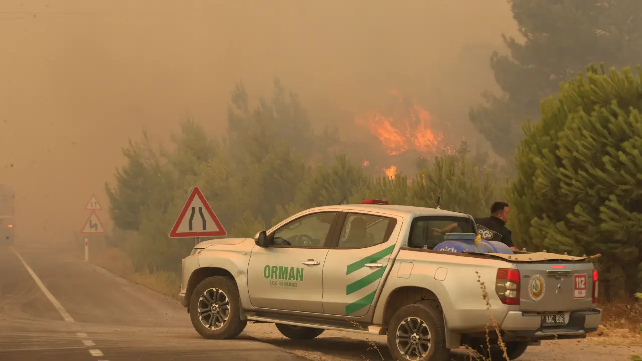 Türkiye'de büyük orman yangını!