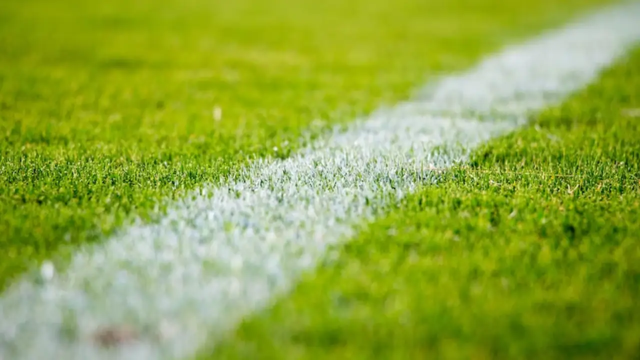 UEFA’dan Fenerbahçe’ye ceza